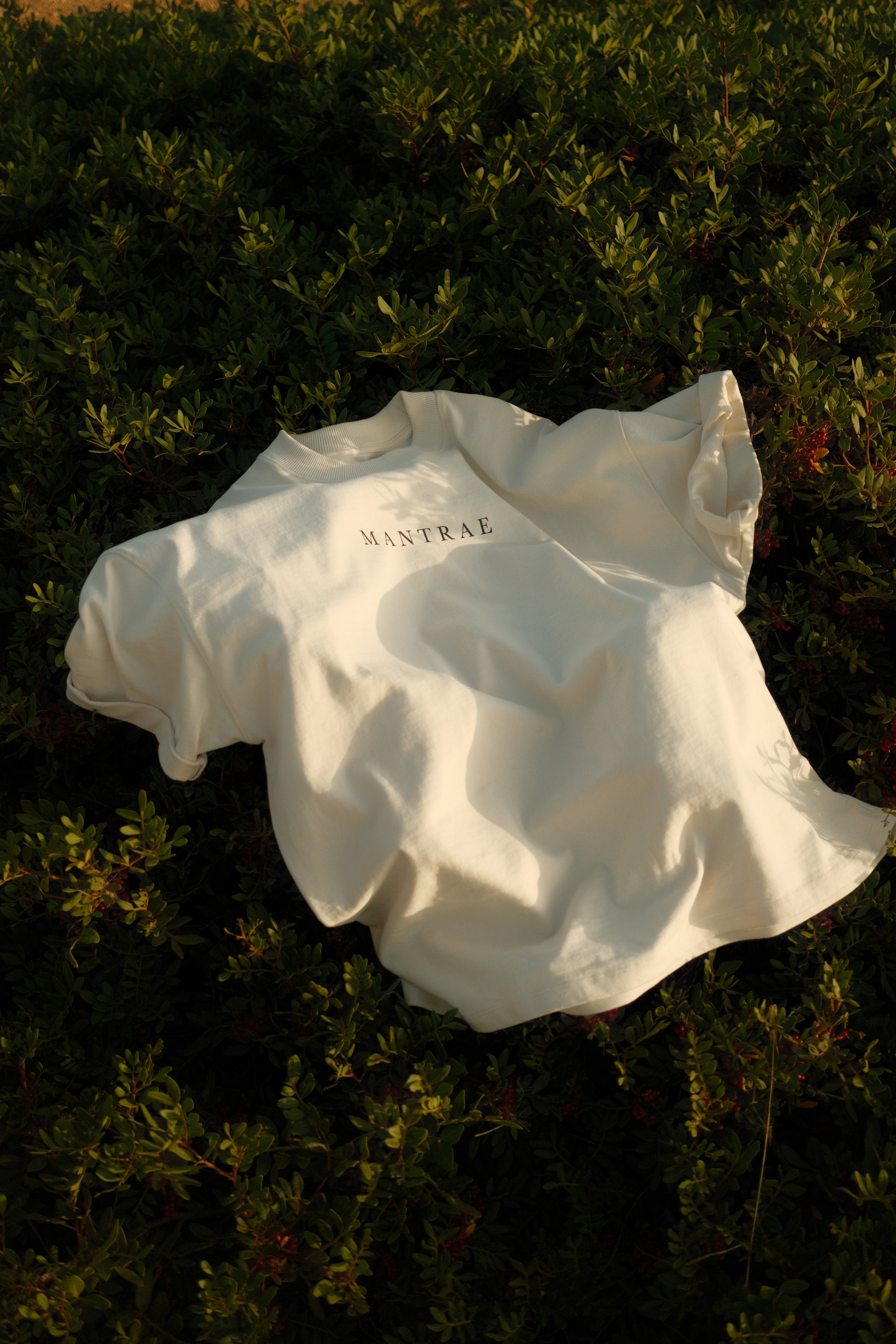 Oversized T-shirt in Lily White